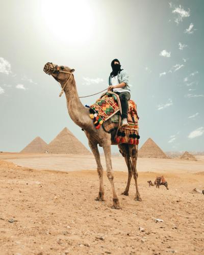 Foto Kairos asuva majutusasutuse Apex Pyramids View Inn galeriist