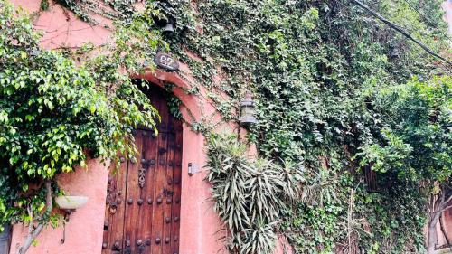 a building with a wooden gate and vines at Tizapan 05 NEW 1BE&1BA in Mexico City