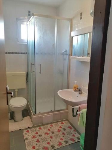 a bathroom with a shower and a toilet and a sink at Apartment Kustici 4129b in Kustići