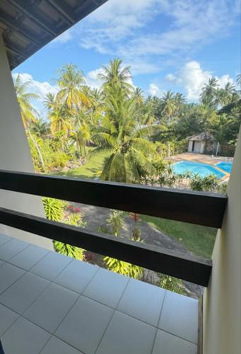 a view of a palm tree from a window at Hotel Mamoan in Ilhéus