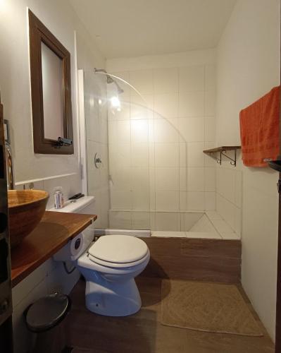 a bathroom with a toilet and a shower and a sink at Cabaña del Mirador 4 in Puerto Pirámides