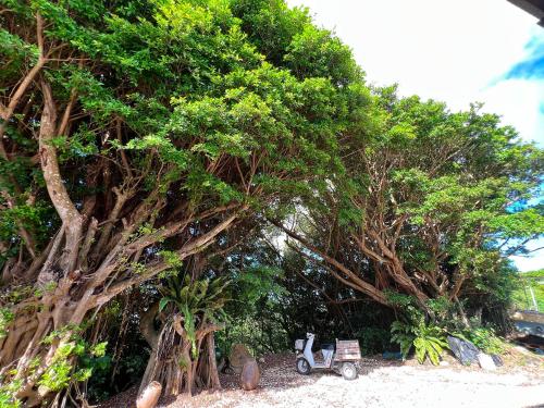 Un jardín fuera de Hostel あざみ庵よろん