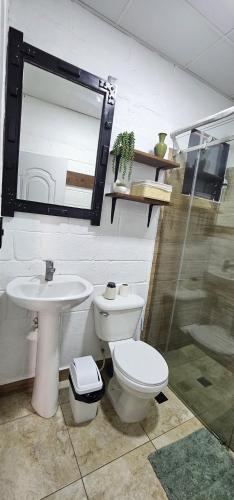 a bathroom with a toilet and a sink and a mirror at Apartamento Mirador de La ciudad in Jarabacoa