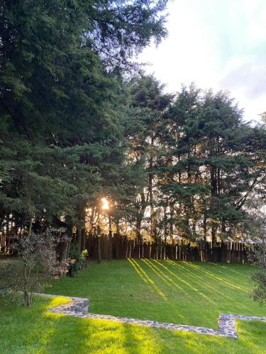 Jardín al aire libre en Villa Lorena es un Lugar Magico para desconectarte