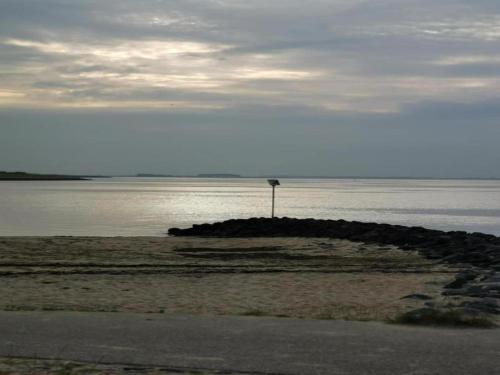 a small island in the water with a tree on it at Cozy Seaside Retreat in Zeeland in Wemeldinge
