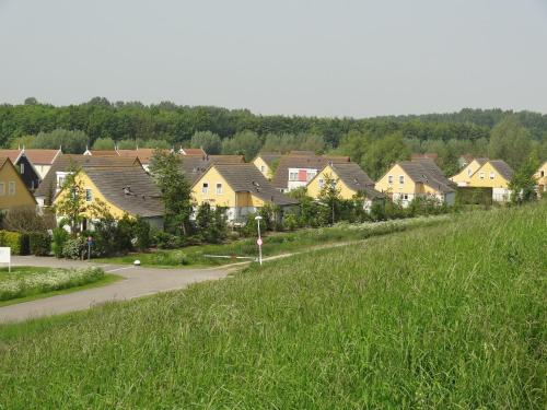 a row of houses in a field of tall grass at Cozy Seaside Retreat in Zeeland in Wemeldinge