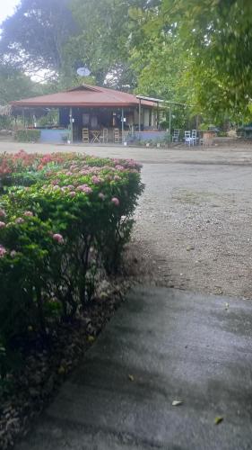 a park with a building and a bush with pink flowers at Hotel y restaurante Maktub in Nandayure