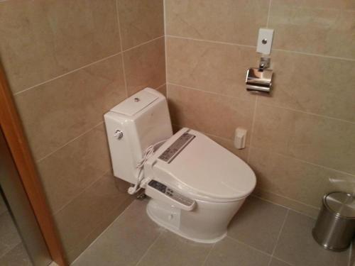a bathroom with a white toilet in a room at Seoul Rex Hotel in Seoul