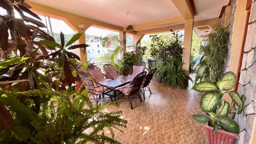 Zahrada ubytování Nanohana Lodge