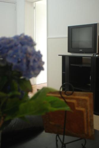 a vase of purple flowers in front of a tv at Quinta do Quarteiro in Povoação