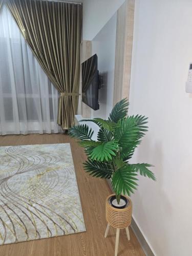 a palm tree in a wicker vase in a room at Nine9 Homestay in Sepang