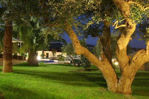 a group of trees in a yard with grass at Città Bianca Country Resort in Ostuni