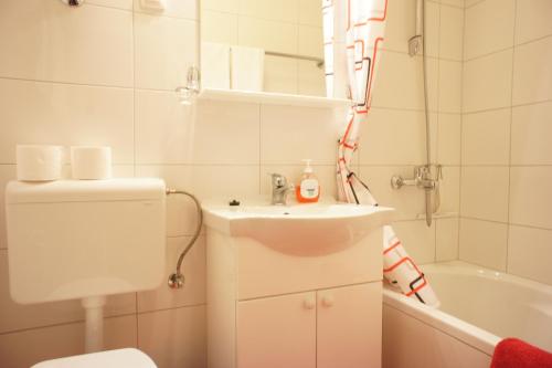 Apartments Segedin