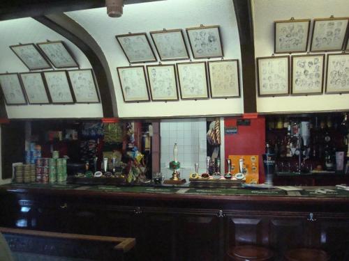 a bar in a pub withaques on the wall at Glendower Hotel in Goodwick