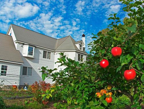 an apple tree in front of a house at Asahikawa - house / Vacation STAY 5789 in Higashikagura