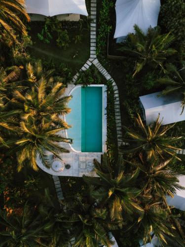 an overhead view of a swimming pool and palm trees at Autentik Penida "Glamping" - Adults only in Nusa Penida