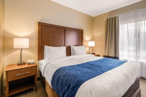 a hotel room with a large bed and a window at Comfort Suites in Humble