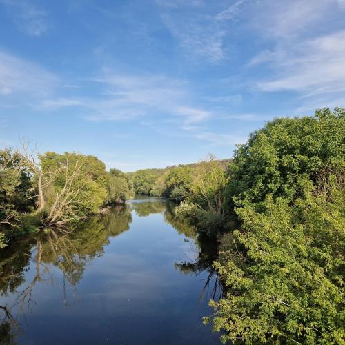 a river with trees on the side of it at Ferienwohnung "Kleine Auszeit" in Bad Kösen