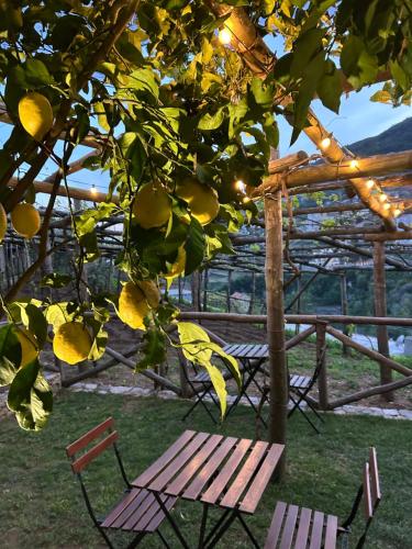 a picnic table and chairs under a lemon tree at B&B La Gemma di Ravello in Ravello