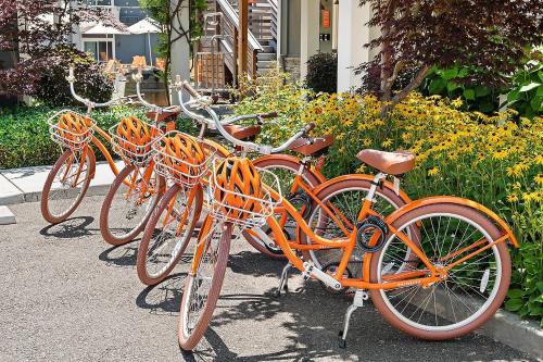 three orange bikes parked next to each other at UpValley Inn & Hot Springs, an Ascend Collection Hotel in Calistoga