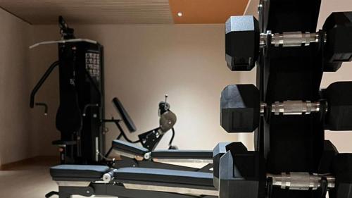 Fitness centrum a/nebo fitness zařízení v ubytování Radisson Blu Bariloche