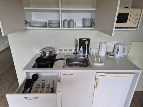 a small kitchen with a sink and a microwave at Maria Talu Guesthouse in Pootsi