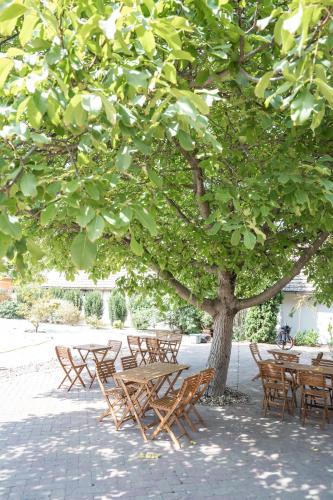 Jardín al aire libre en Boutique Hotel LuDo