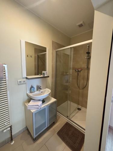 a bathroom with a sink and a shower at die Senfbude - schöne, ebenerdige 2-Raum-Apartments mit Stellplatz und Terrasse in Leipzig