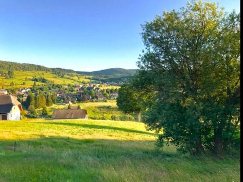 a tree in the middle of a grassy field at Echtes Schwarzwaldhaus - Traditionell & Modern in Bernau im Schwarzwald