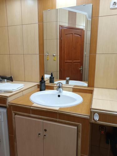 a bathroom with a sink and a large mirror at Four Seasons apartman in Mórahalom
