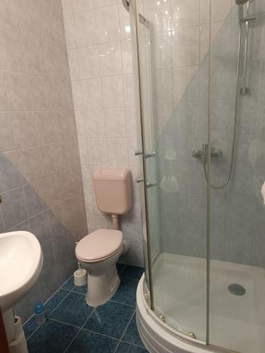 a bathroom with a toilet and a glass shower at Four Seasons apartman in Mórahalom