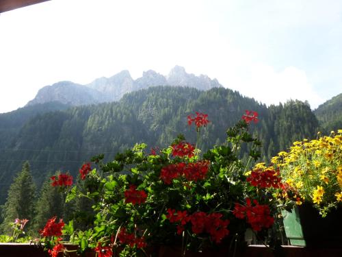 Affittacamere Pizzeria Marmolada – Photos 4
