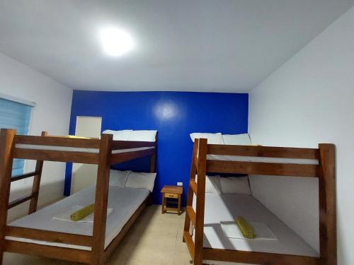 two bunk beds in a room with a blue wall at GreenEscape Beach Resort in Puerto Galera