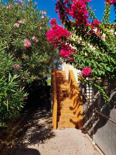 Fotografie z fotogalerie ubytování Cosy studio vue mer panoramique v destinaci Hyères