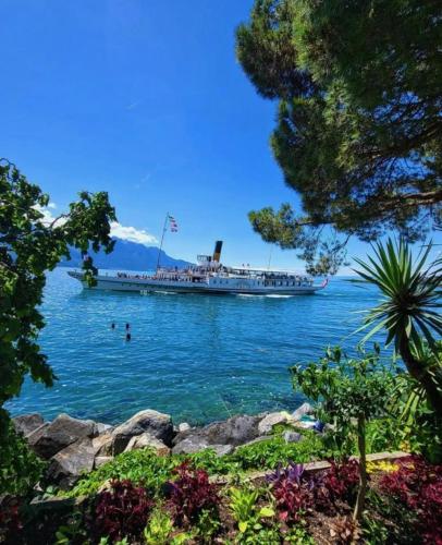 Magnifique appartement Cosy Cannes à 5mn du fameux palais du festival et ses plages