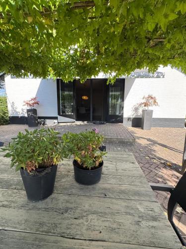 two potted plants sitting on a table in front of a building at Vakantiehuis De Meierij in Schijndel