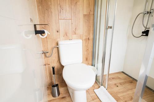 a bathroom with a toilet and a shower at Alpenpension Haslinger in Bad Gastein