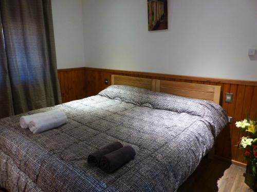 a bedroom with a bed with two pillows on it at HOTEL & HOSTAL CHIL'IN, Las Trancas in Las Trancas