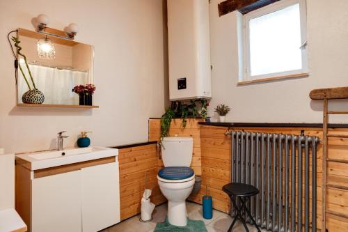 a bathroom with a toilet and a sink at Gite Fil Rouge in Saint-Pierre-dʼAurillac