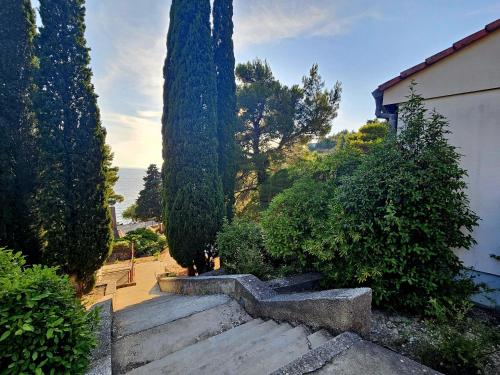 a set of stairs with trees and a building at Mala Luka - Omiš, Beach Resort in Stanići