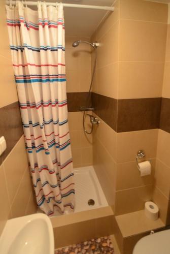 a bathroom with a shower curtain next to a toilet at Pension Am Pilgerbach in Baunatal
