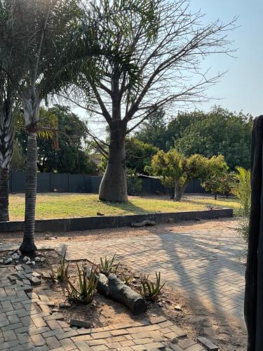 a park with two palm trees and a sidewalk at Bothabelo Bed and Breakfast in Phalaborwa