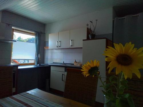 Kuchyň nebo kuchyňský kout v ubytování Haus Breser