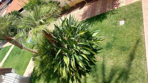 Apartamento familiar primera línea de playa