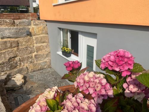 a pot of pink flowers in front of a window at Carpe Diem in Altshausen