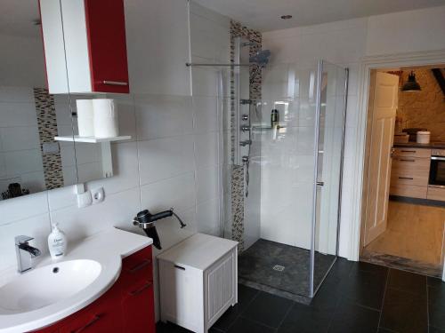 a bathroom with a sink and a shower at Ferienhaus Alte Schmiede - weites Land in Lutherstadt Wittenberg