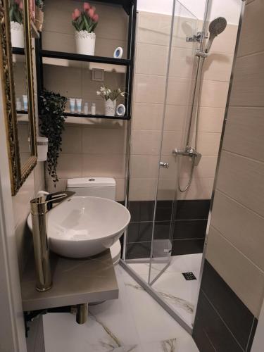 Draskoviceva Suite