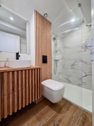 a bathroom with a toilet and a sink and a shower at L'Oiseau du Paradis - Cottage & Spa in Lourdes