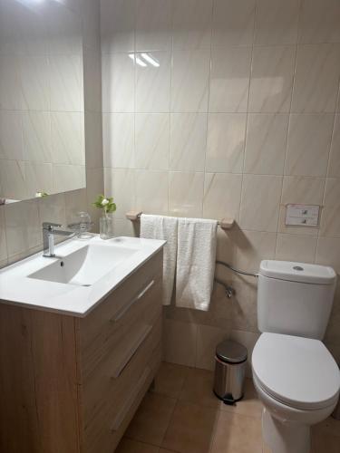 Un baño con un lavabo blanco y un inodoro. en Apartamentos Guahedun, en Valle Gran Rey