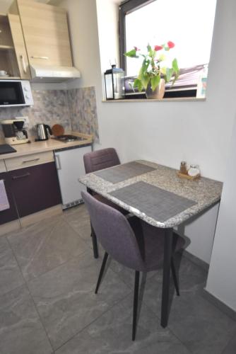 a kitchen with a table and chairs in a kitchen at apartmaji LEJARDIN in Škofljica